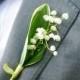 Wedding Flowers 