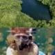 Honeymoon2