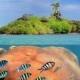 Honeymoon2