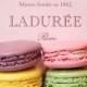 Pale Pink Wedding Color Palettes 
