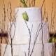 The Wedding Cake