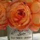 Peach Wedding Details