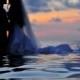 Professional Wedding Photography ♥ Unique & Creative Wedding Photography | Profesyonel Dugun Fotograflari