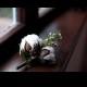 Rustique Boutonniere Boutonniere ♥ unique pour Groom