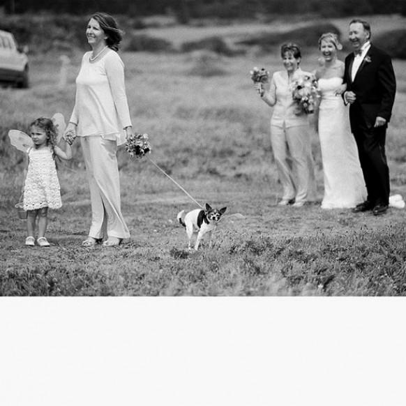 wedding photo - الحيوانات الأليفة في الممر