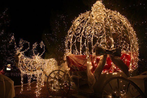 Hochzeit - Weihnachten