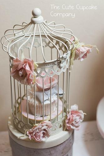Hochzeit - Kuchen-Birdcage