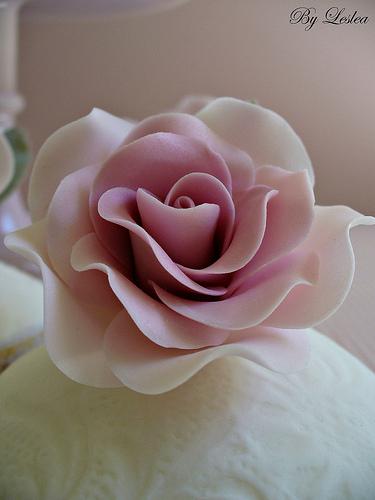 Mariage - Rose rose