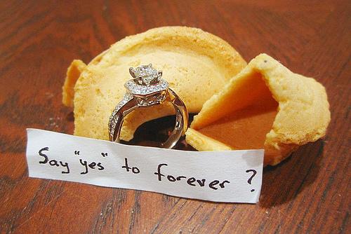 زفاف - ويقول نعم للأبد