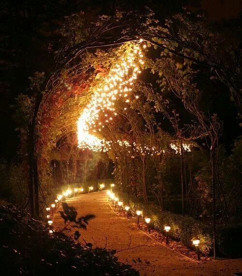 Wedding - Path Of Lights 
