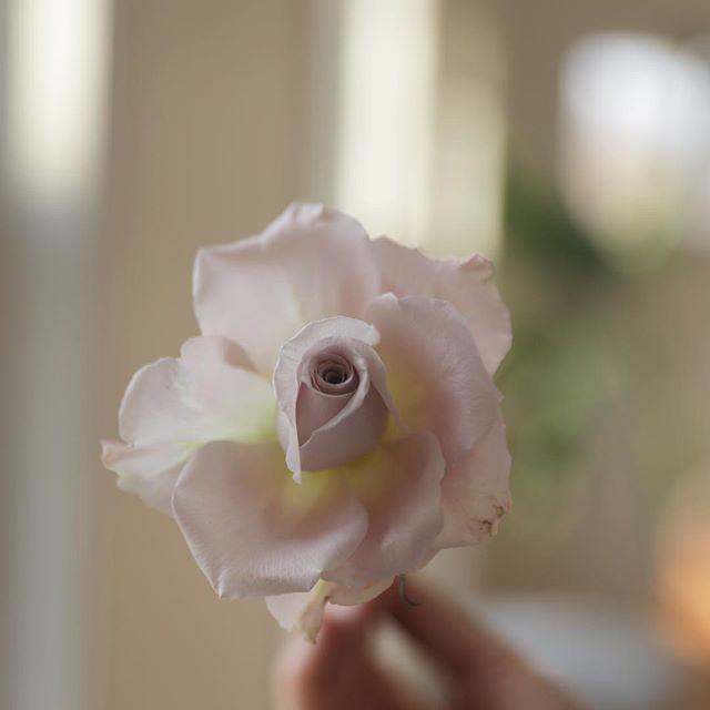 Свадьба - Ariel Dearie Flowers