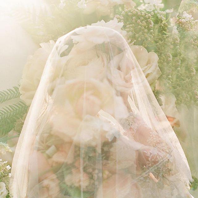 زفاف - Utterly Engaged ™ by Lucia