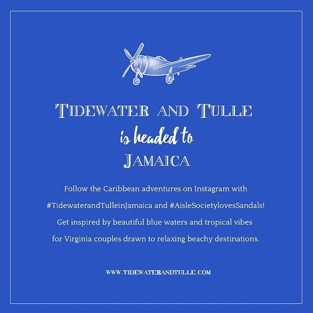 زفاف - Tidewater and Tulle
