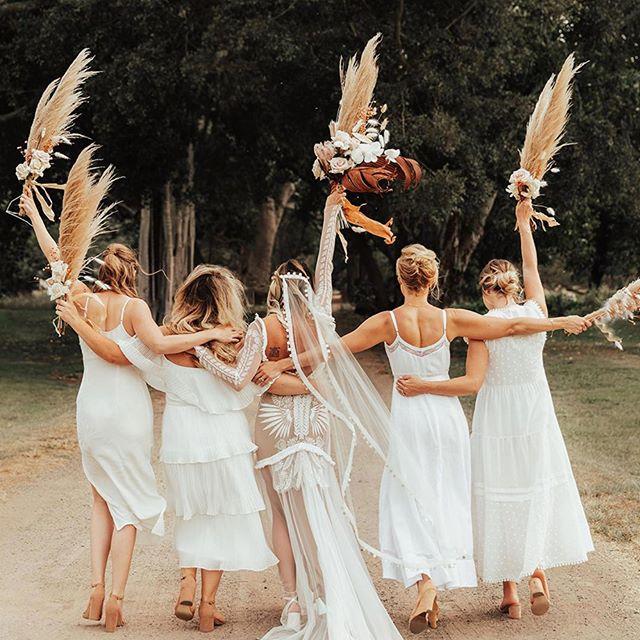 زفاف - Festival Brides