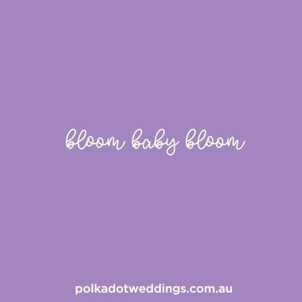 Wedding - Polka Dot Bride