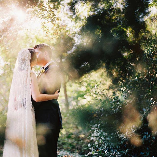 Свадьба - Katie Stoops Photography