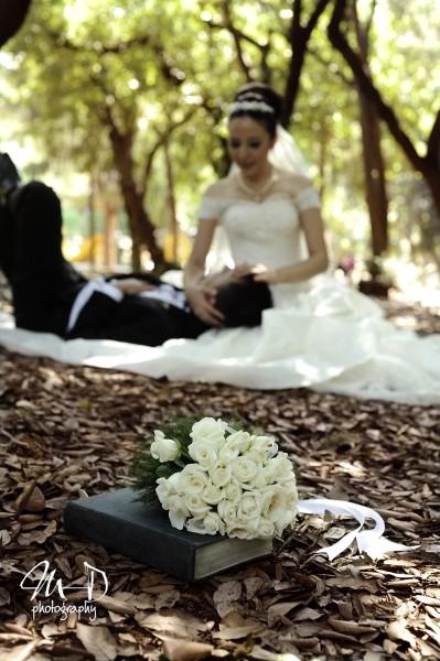 Wedding - Wedding Photography