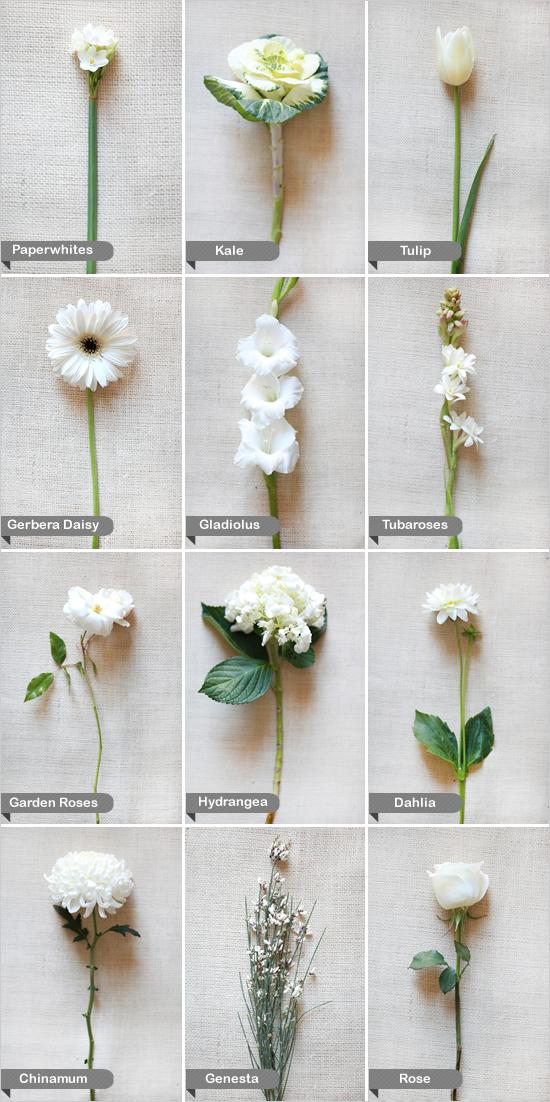 زفاف - زهور الزفاف الأبيض