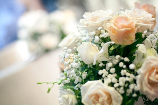 زفاف - تفاصيل الزفاف الخوخ