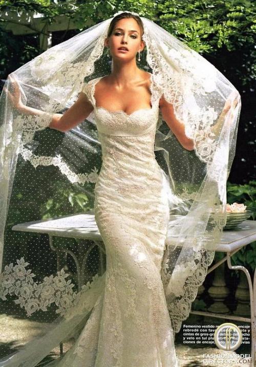 Wedding - Lace Wedding Dress and Mantilla Veil