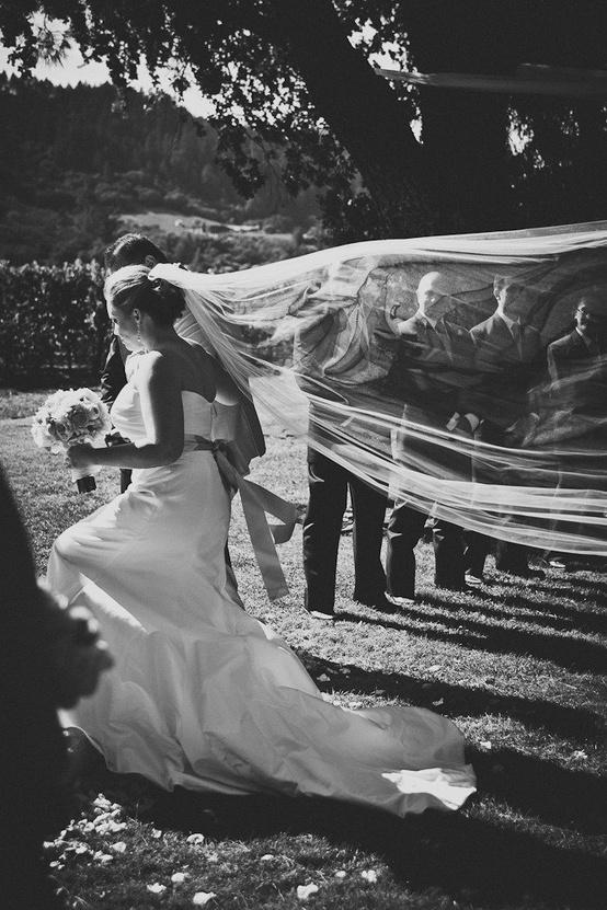 زفاف - تصوير حفل زفاف ~ SMP يحب