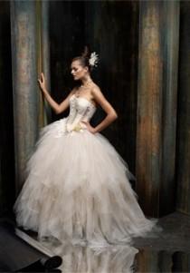 wedding photo -  Wedding Dress