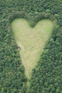 wedding photo -  Valentines
