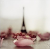 wedding photo -  Wedding Photography