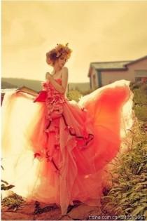wedding photo -  Wedding Photography