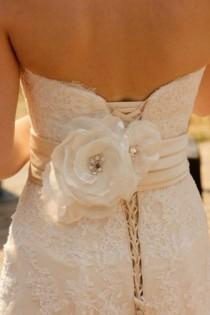 wedding photo -  Wedding Dress Ideas