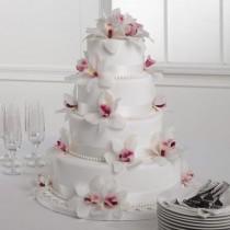 wedding photo -  Wedding Cakes, Give Aways