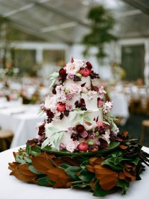 wedding photo -  Captivant Cakes