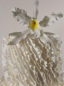 wedding photo - Close Up Of Sugar Frills And Cattleya Orchid
