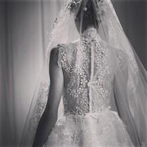 wedding photo - Net Dress