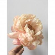 Poppies & Posies wedding photo - Poppies & Posies