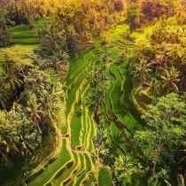 Worldplaces Tour wedding photo - Worldplaces Tour
