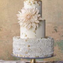 Wedding Ideas wedding photo - Wedding Ideas