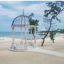 Wedding Ideas wedding photo - Wedding Ideas