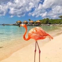 Wonderful Places wedding photo - Wonderful Places