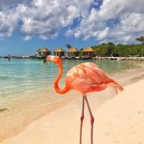 Best Places To Go wedding photo - Best Places To Go