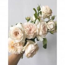 Poppies & Posies wedding photo - Poppies & Posies
