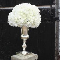 Wedding Ideas wedding photo - Wedding Ideas