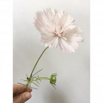 Poppies & Posies wedding photo - Poppies & Posies