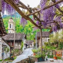 Worldplaces Tour wedding photo - Worldplaces Tour