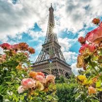 Worldplaces Tour wedding photo - Worldplaces Tour