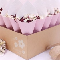 Wedding Ideas wedding photo - Wedding Ideas