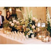 Amaryllis Inc. wedding photo - Amaryllis Inc.