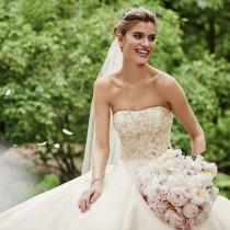 Wedding Ideas wedding photo - Wedding Ideas