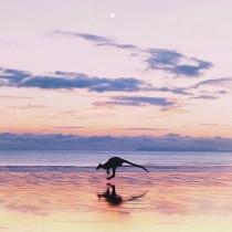 Luxury Travel Influencer wedding photo - Luxury Travel Influencer