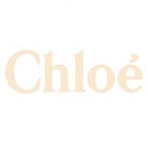 Chloé wedding photo - Chloé